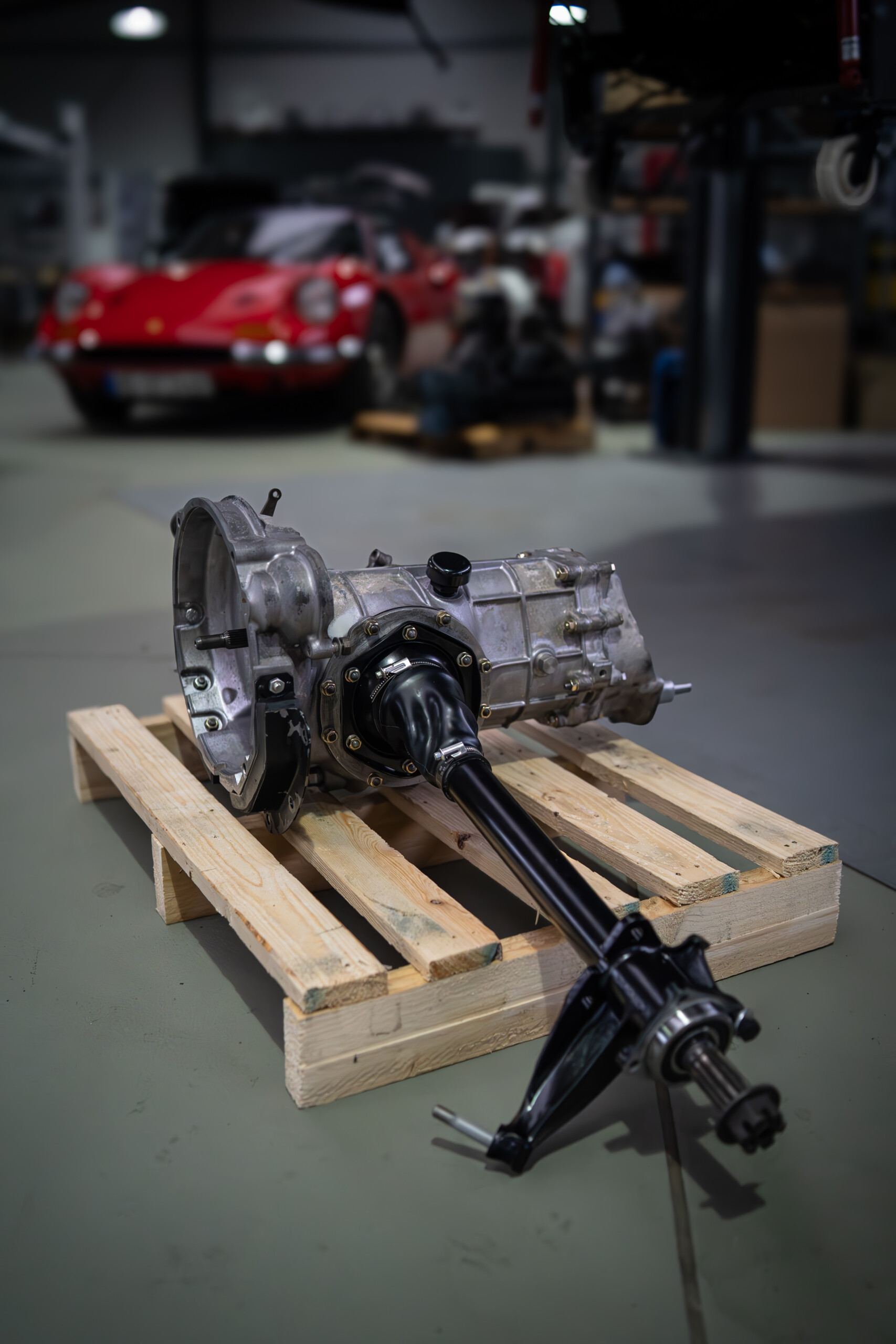 _DSC9774-Verbessert-RR